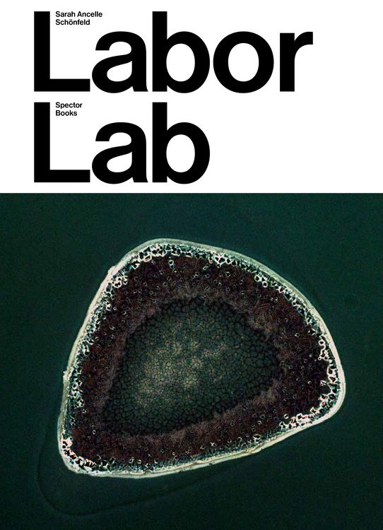 Produktbild: Sarah Ancelle Sch&ouml;nfeld: Labor Lab