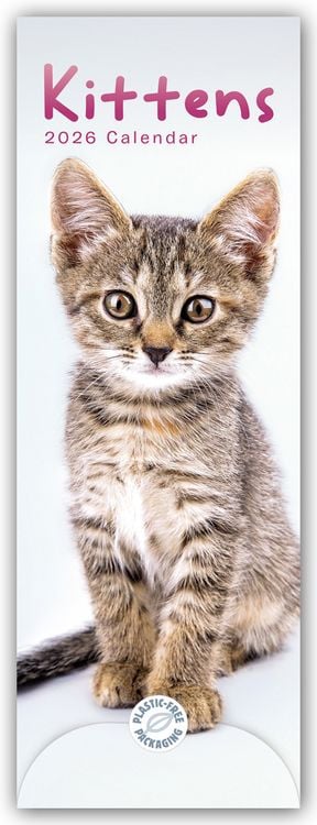 Produktbild: Kittens – Kätzchen – Katzenjunge 2026 – Slimline-Kalender