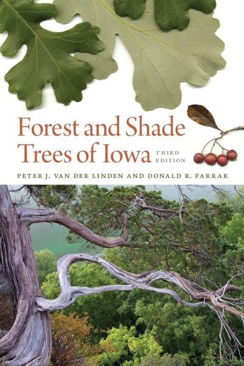 Produktbild: Forest and Shade Trees of Iowa