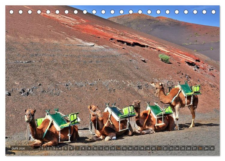 Produktbild: Lanzarote. Wunderwelt der Feuerberge (Tischkalender 2026 DIN A5 quer), CALVENDO Monatskalender