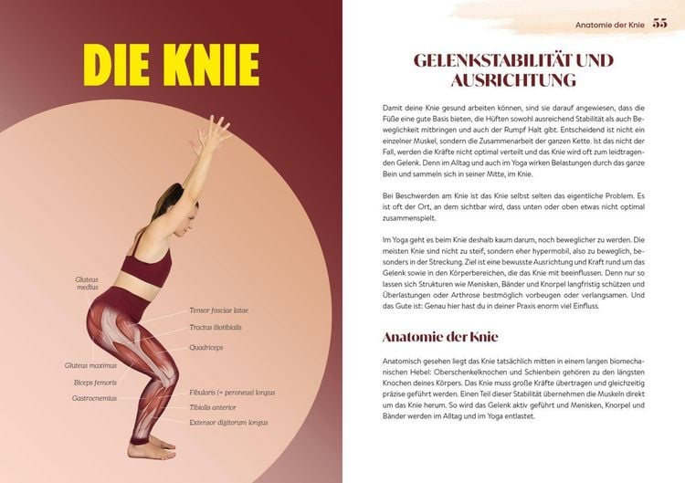 Produktbild: Easy Yoga-Anatomie