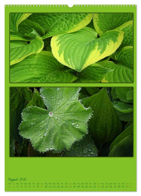 Produktbild: Colours of Nature / UK-Version (High Quality Premium Wall Calendar 2026 DIN A2 portrait),CALVENDO 12 Month Wall Calendar