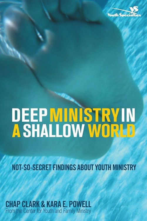 Produktbild: The Deep Ministry in a Shallow World