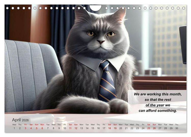 Produktbild: The humoristic cat guide (Wall Calendar 2026 DIN A4 landscape), CALVENDO 12 Month Wall Calendar