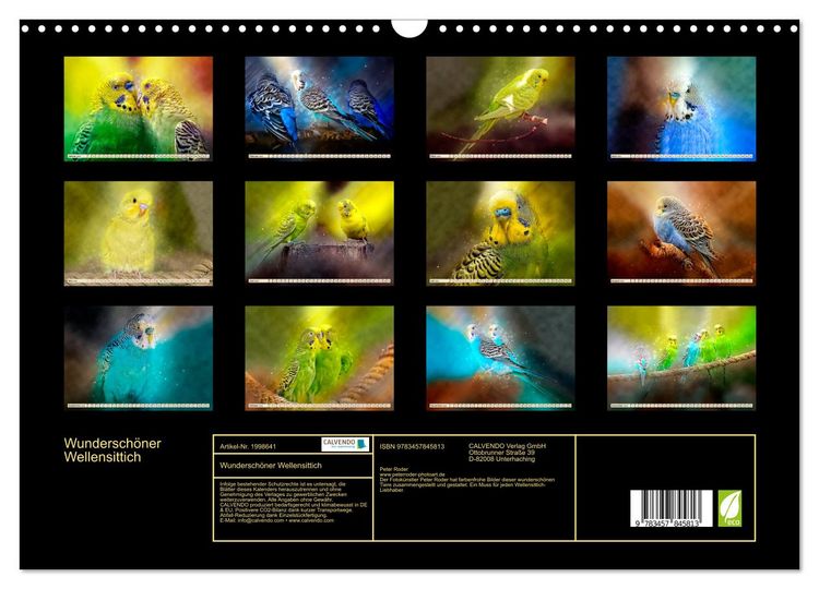 Produktbild: Wundersch&ouml;ner Wellensittich (Wandkalender 2026 DIN A3 quer), CALVENDO Monatskalender