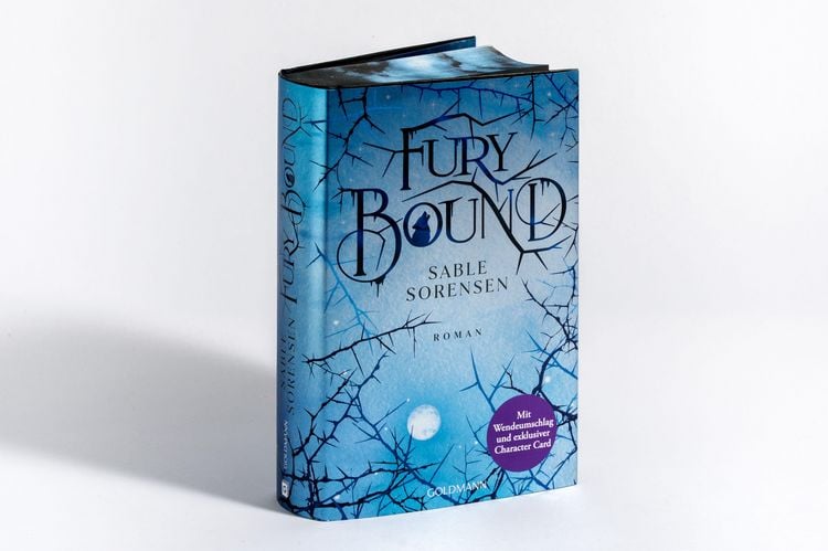 Produktbild: Fury Bound