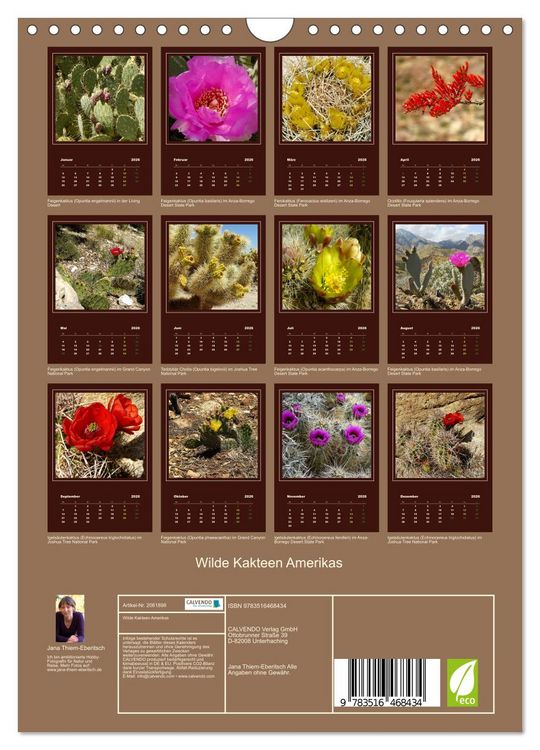 Produktbild: Wilde Kakteen Amerikas (Wandkalender 2026 DIN A4 hoch), CALVENDO Monatskalender
