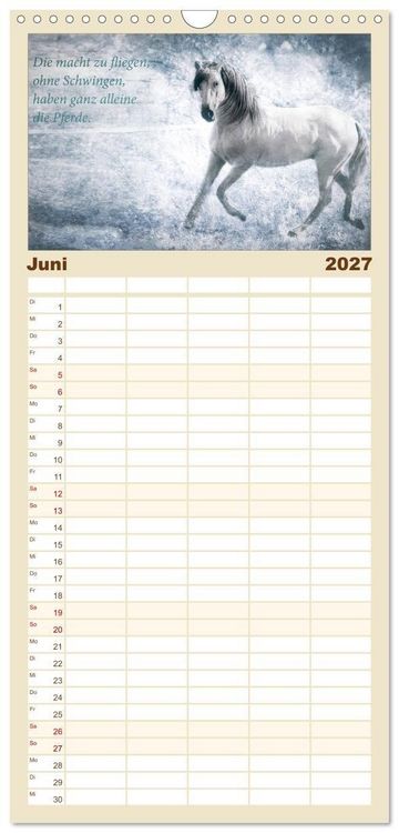 Produktbild: Familienplaner 2027 - Pferde zum Tr&auml;umen mit 5 Spalten (Wandkalender, 21 x 45 cm) CALVENDO