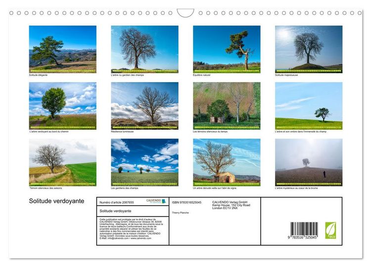 Produktbild: Solitude verdoyante (Calendrier mural 2026 DIN A3 vertical), CALVENDO calendrier mensuel