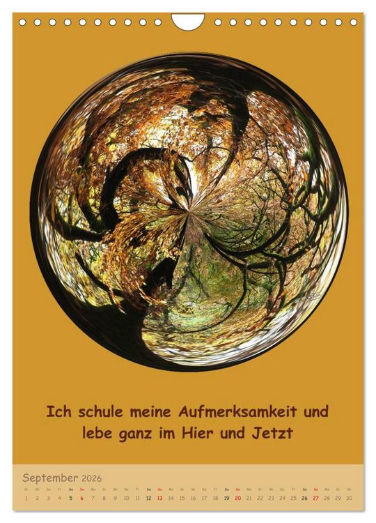 Produktbild: Meditative Natur (Wandkalender 2026 DIN A4 hoch), CALVENDO Monatskalender