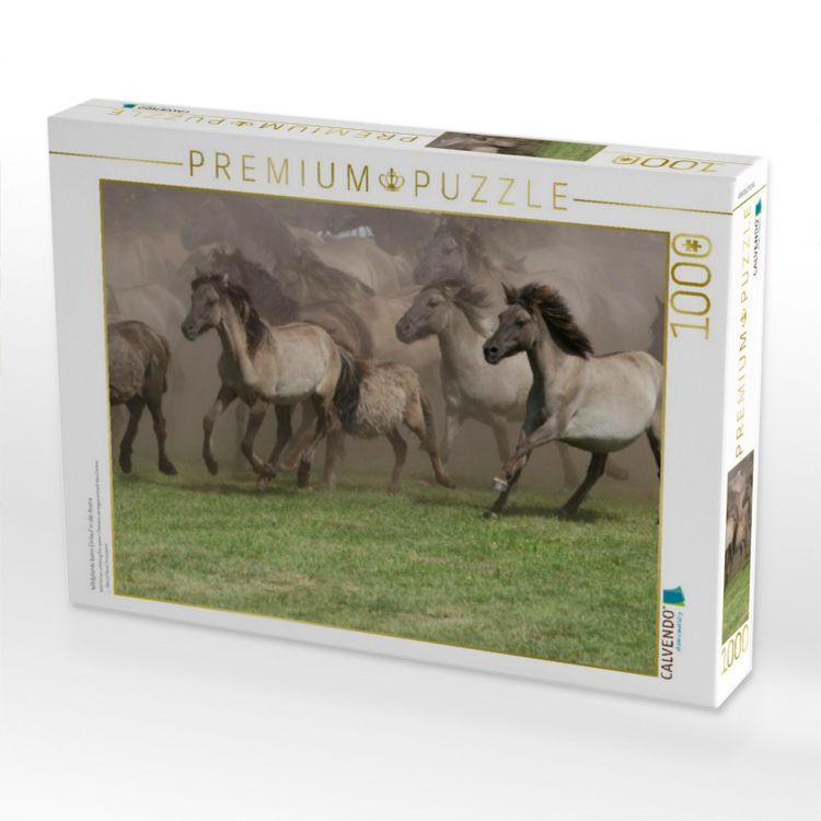 Produktbild: CALVENDO Puzzle Wildpferde beim Einlauf in die Arena | 1000 Teile Lege-Gr&ouml;&szlig;e 64x48cm Foto-Puzzle f&uuml;r gl&uuml;ckliche Stunden