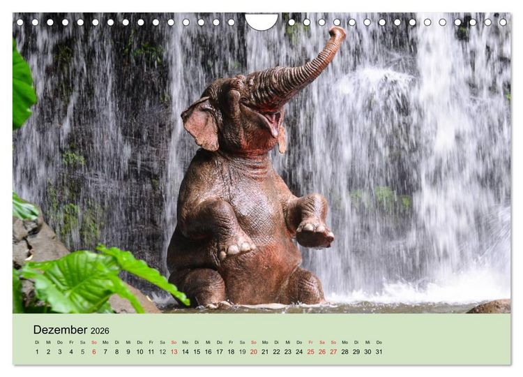 Produktbild: Elefanten. Badespa&szlig; am Strand (Wandkalender 2026 DIN A4 quer), CALVENDO Monatskalender