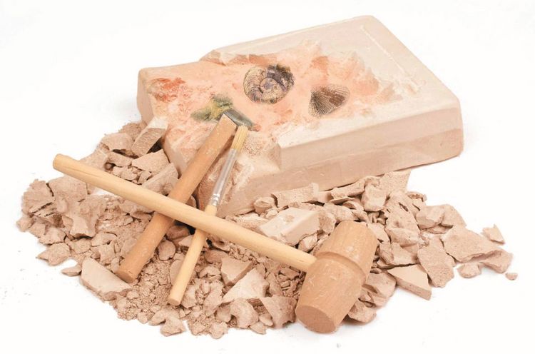 Produktbild: Expedition Natur Das gro&szlig;e Fossilien-Ausgrabungs-Set