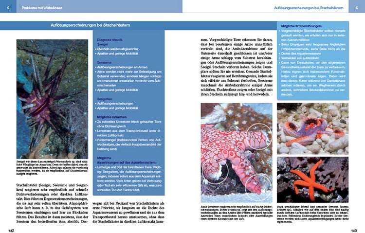 Produktbild: Meeresaquaristik