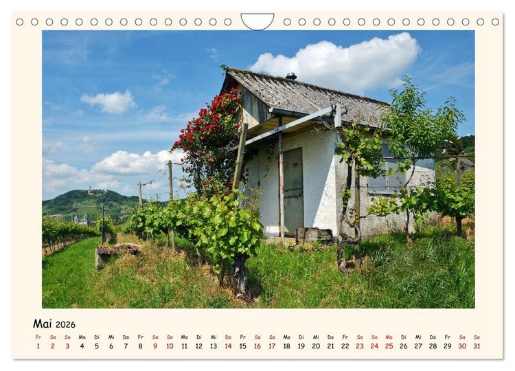 Produktbild: Weinlandschaft - Heppenheim an der Bergstra&szlig;e (Wandkalender 2026 DIN A4 quer), CALVENDO Monatskalender