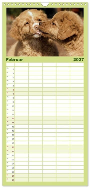 Produktbild: Familienplaner 2027 - Nova Scotia Duck Tolling Retriever mit 5 Spalten (Wandkalender, 21 x 45 cm) CALVENDO