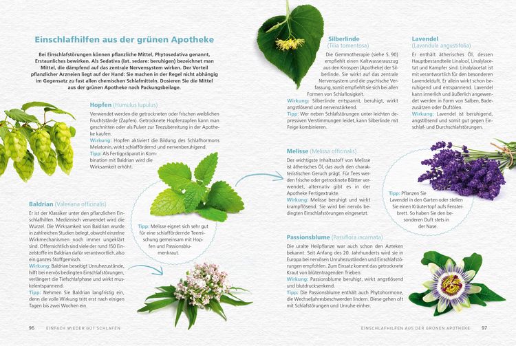 Produktbild: Meine sanfte Medizin f&uuml;r einen guten Schlaf