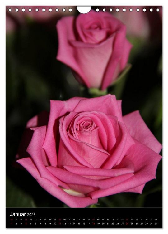 Produktbild: Zauberhafte Rosen (Wandkalender 2026 DIN A4 hoch), CALVENDO Monatskalender