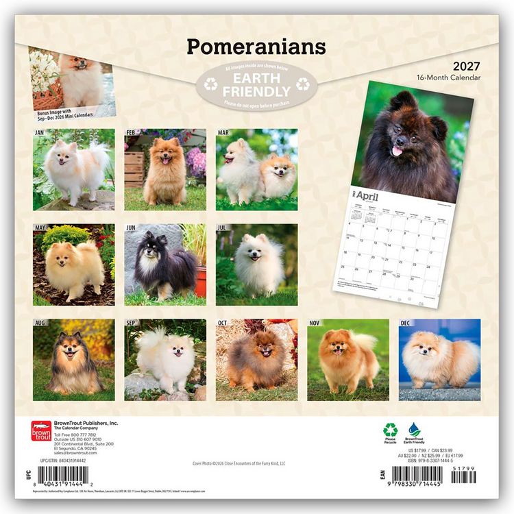 Produktbild: Pomeranians &ndash; Spitz 2027 &ndash; 16-Monatskalender