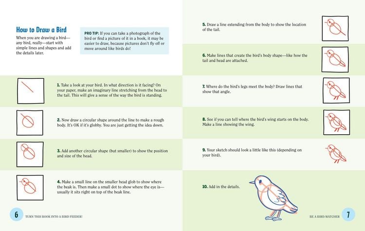 Produktbild: Turn This Book Into a Bird Feeder!