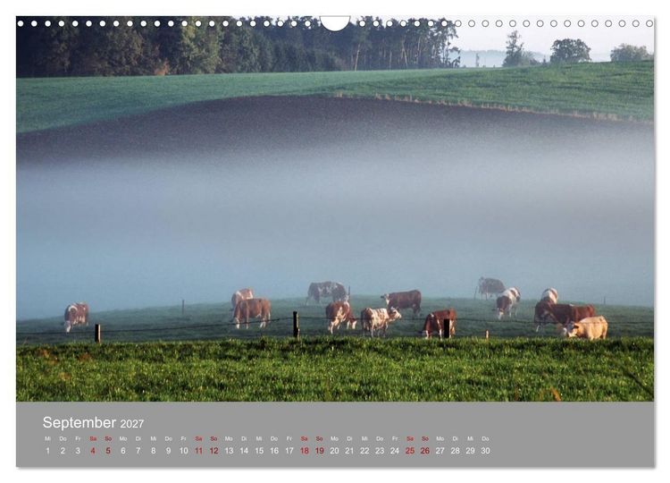 Produktbild: Hallertau (Wandkalender 2027 DIN A3 quer), CALVENDO Monatskalender