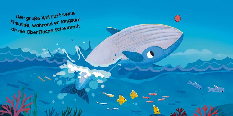 Produktbild: Ozeanische Klangwelten