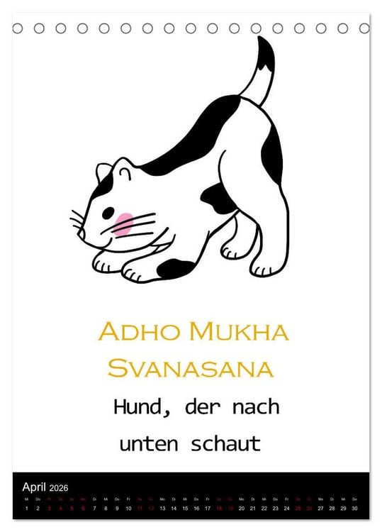 Produktbild: Yogakatzen - ganz entspannt im Hier und Jetzt (Tischkalender 2026 DIN A5 hoch), CALVENDO Monatskalender