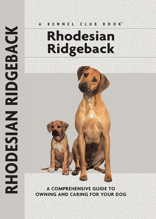 Produktbild: Rhodesian Ridgeback