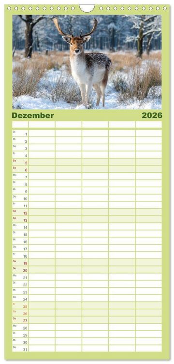 Produktbild: Familienplaner 2026 - HIRSCHE UND REHE - Ein Jahr in freier Wildbahn mit 5 Spalten (Wandkalender, 21 x 45 cm) CALVENDO