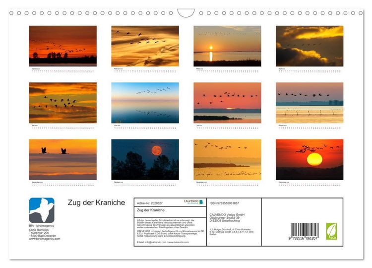 Produktbild: Zug der Kraniche (Wandkalender 2026 DIN A3 quer), CALVENDO Monatskalender