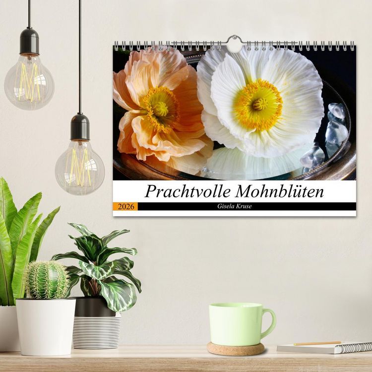 Produktbild: Prachtvolle Mohnbl&uuml;ten (Wandkalender 2026 DIN A4 quer), CALVENDO Monatskalender