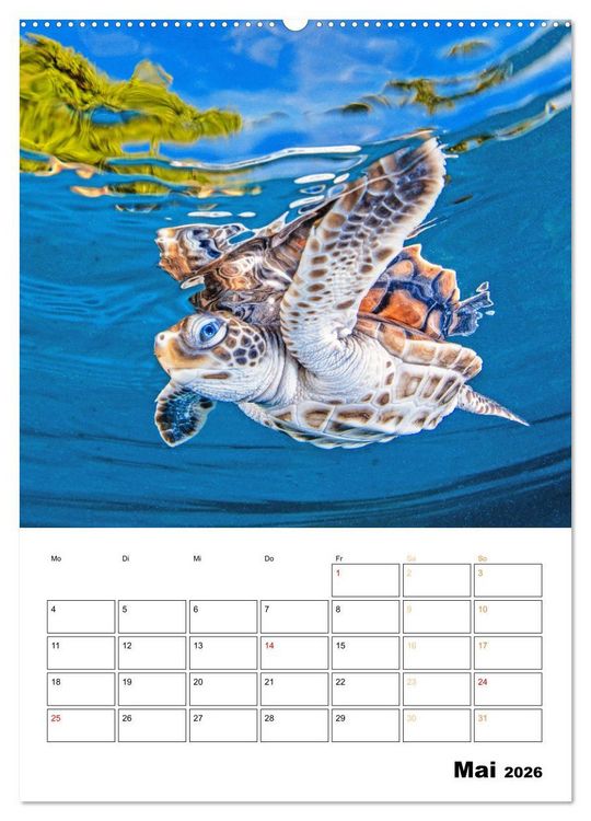 Produktbild: Wunderbare Wasserwelt der Meeresschildkr&ouml;ten (Wandkalender 2026 DIN A2 hoch), CALVENDO Monatskalender