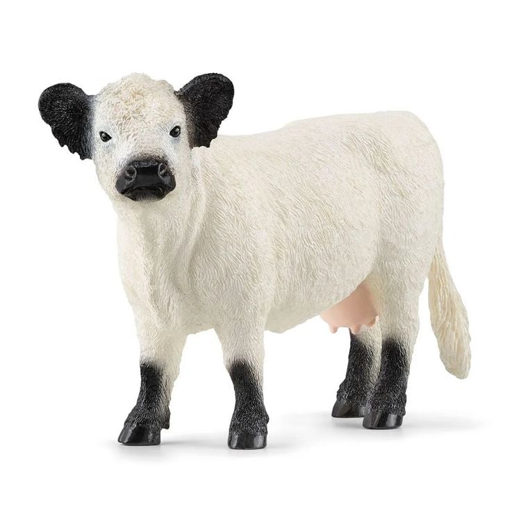 Produktbild: schleich&reg; Farm World Galloway Rind 9cm