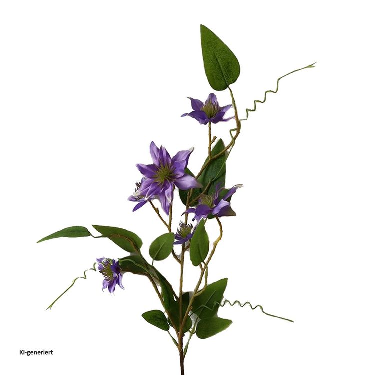 Produktbild: NTK-Collection NTK-Collection Clematis Lila 2er Set 89 cm NTK-Collection Clematis Lila 2er Set 89 cm