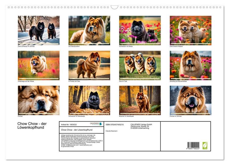 Produktbild: Chow Chow - der L&ouml;wenkopfhund (Wandkalender 2026 DIN A2 quer), CALVENDO Monatskalender
