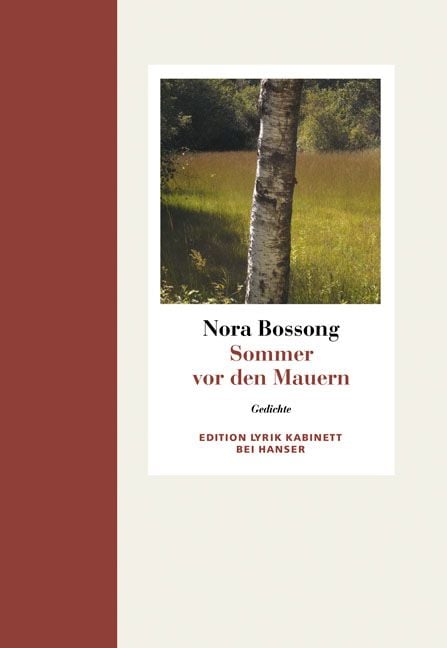 Produktbild: Sommer vor den Mauern