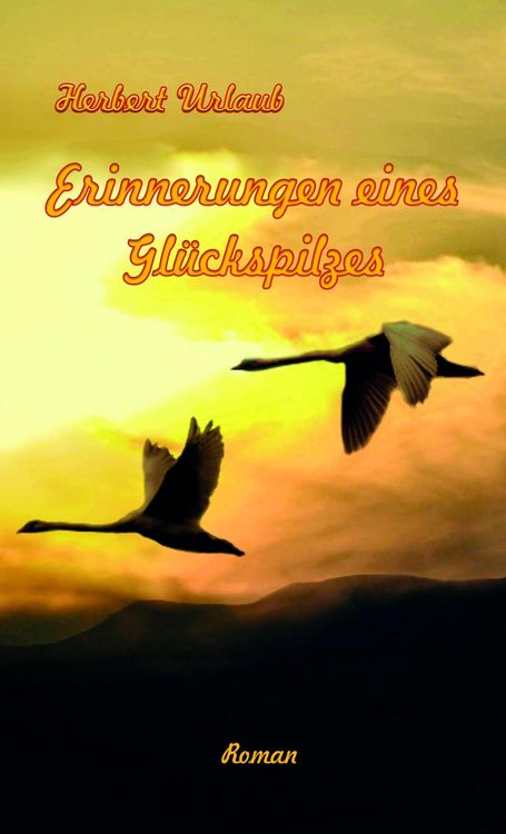 Produktbild: Erinnerungen eines Gl&uuml;ckspilzes