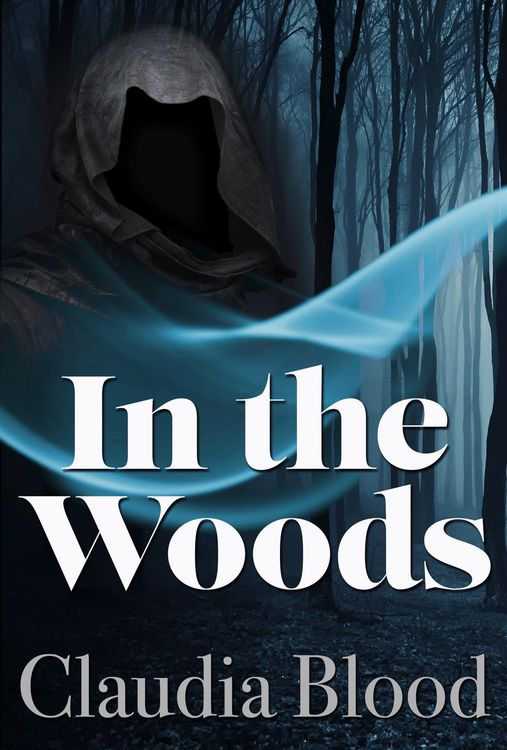 Produktbild: In the Woods (The Northwoods Guardians, #2)