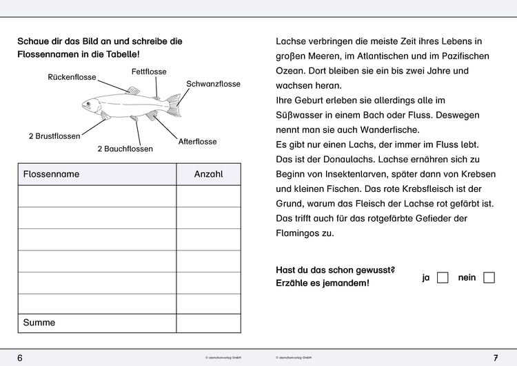 Produktbild: Ich kenne den Lachs - Lebenszyklus