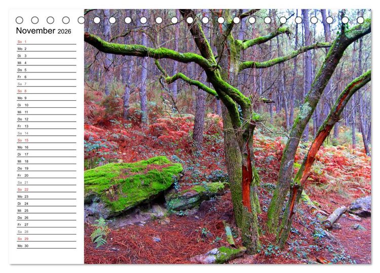 Produktbild: Jakobsweg - Camino Portugues Central (Tischkalender 2026 DIN A5 quer), CALVENDO Monatskalender