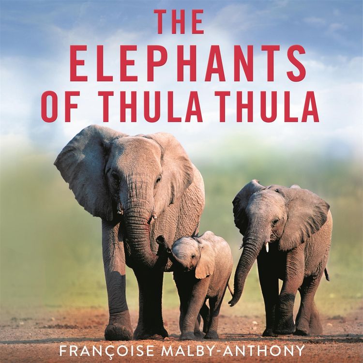 Produktbild: The Elephants of Thula Thula