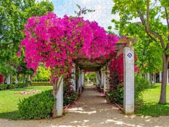 Produktbild: CALVENDO Puzzle Blumenpracht im Park Maria Luisa | 1000 Teile Lege-Gr&ouml;&szlig;e 64x48cm Foto-Puzzle f&uuml;r gl&uuml;ckliche Stunden