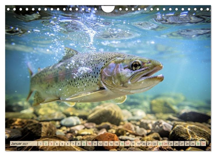 Produktbild: Talsperren - Raubfische (Wandkalender 2027 DIN A4 quer), CALVENDO Monatskalender