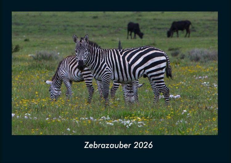 Produktbild: Zebrazauber 2026 Fotokalender DIN A4