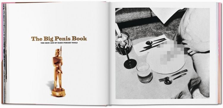 Produktbild: The Big Penis Book
