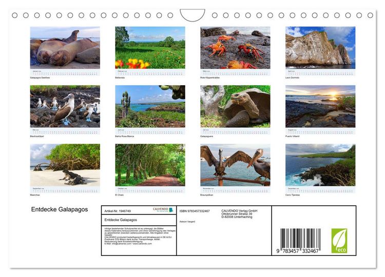 Produktbild: Entdecke Galapagos (Wandkalender 2026 DIN A4 quer), CALVENDO Monatskalender