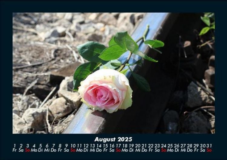 Produktbild: Rosentraum 2025 Fotokalender DIN A5