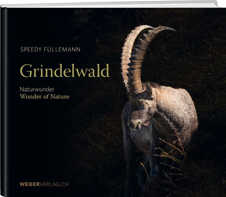 Produktbild: Grindelwald