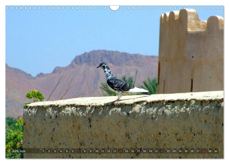 Produktbild: Oman - Eine Bilder-Reise (Wandkalender 2026 DIN A3 quer), CALVENDO Monatskalender