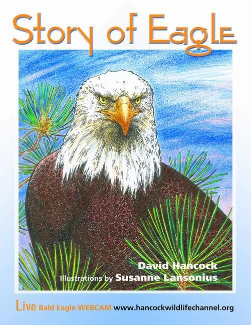 Produktbild: Story of Eagle Activity & Coloring Book
